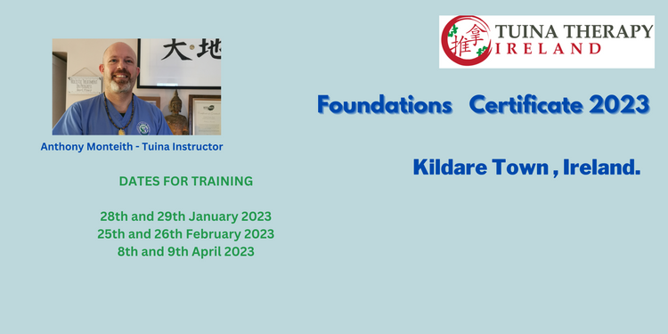 Tuina Foundations Training Kildare Ireland 2023